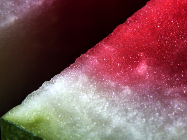 Watermelon close-up